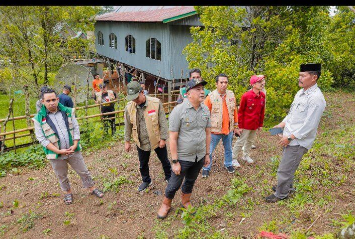 Tinjau Lahan Kopi di Gattareng, Wabup Barru Pastikan Bantuan Bibit Berjalan Optimal