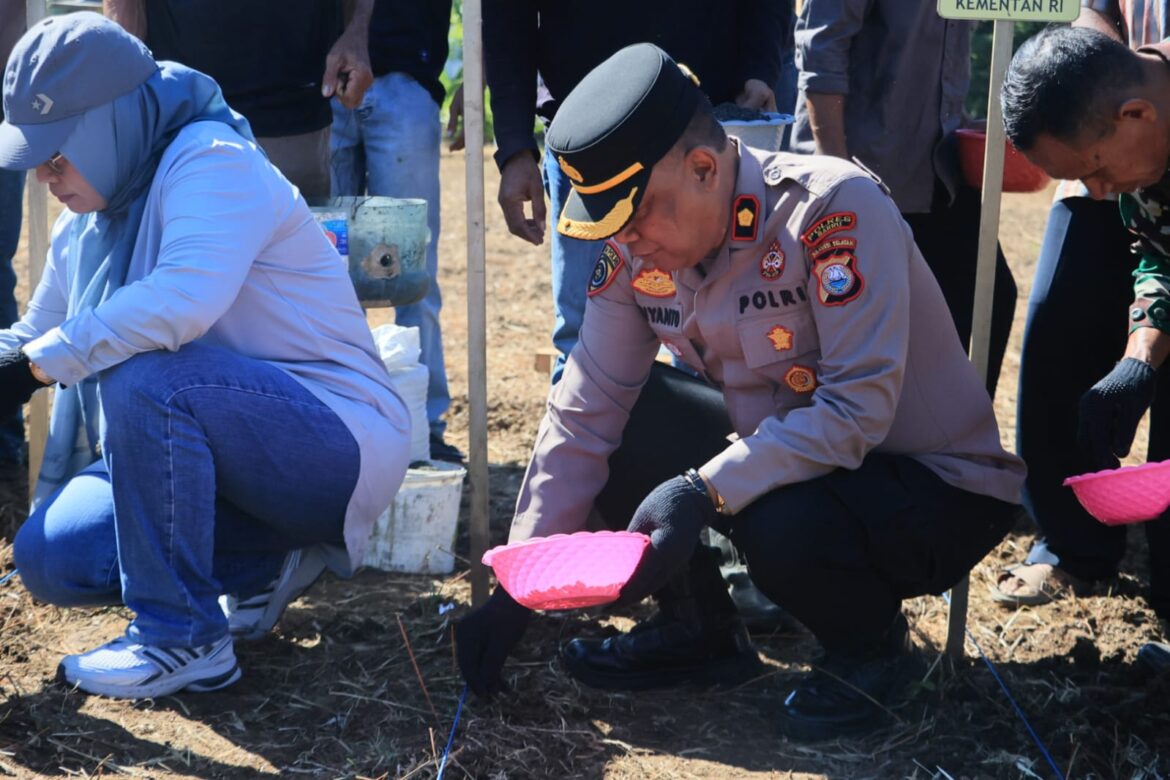 Polres Barru Dukung Program Penangkaran Benih Jagung JJUH, Wujud Sinergi Ketahanan Pangan Nasional