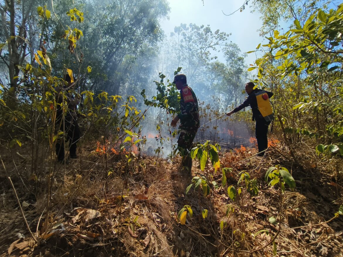 Gunung Tampajengnge Barru Terbakar, Polsek Tanete Riaja Bersama TNI Turun Tangan Amankan Titik Api