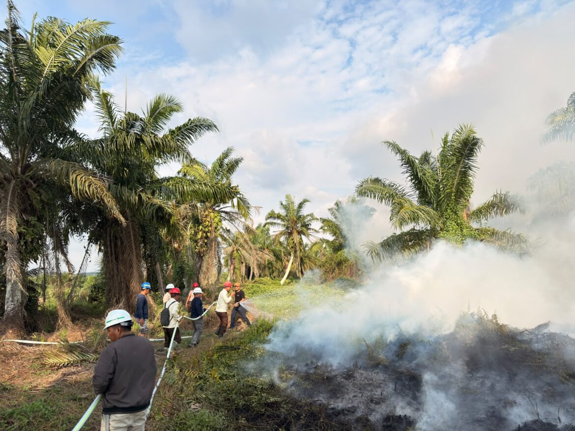 Tim Fire Brigade Desa Martasari, PT Mamuang Langkah Cepat Padamkan Api