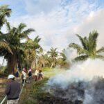 Tim Fire Brigade Desa Martasari, PT Mamuang Langkah Cepat Padamkan Api Tim Fire Brigade Desa Martasari, PT Mamuang Langkah Cepat Padamkan Api