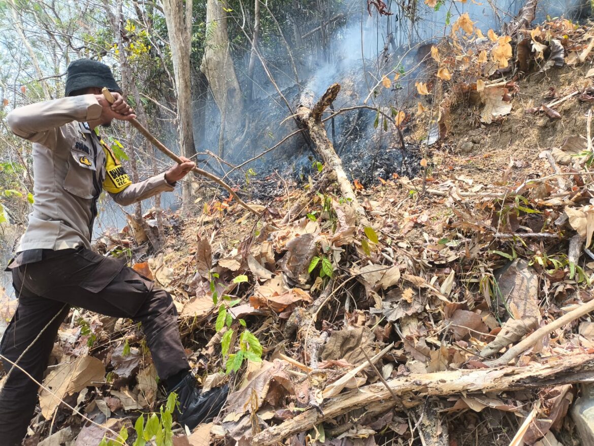 RESPONS CEPAT BHABINKAMTIBMAS POLSEK TANETE RIAJA BERSAMA WARGA PADAMKAN KEBAKARAN LAHAN PERKEBUNAN SELUAS 1 HEKTARE DI BARRU