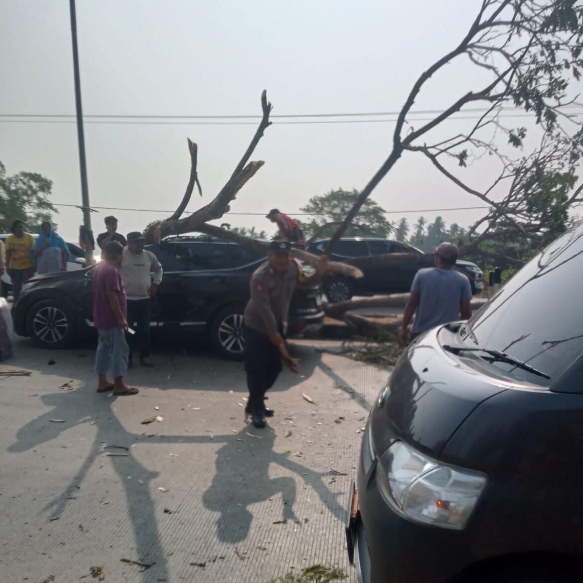 ​Respons Cepat Polsek Soppeng Riaja Bantu Korban Mobil Tertimpa Pohon Tumbang di Lawallu Barru
